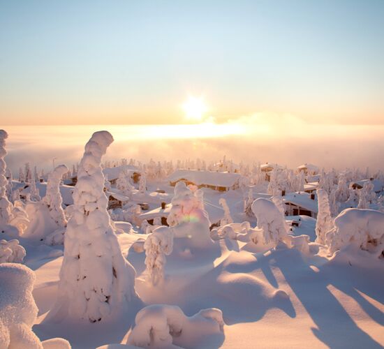 Snowmobile Wilderness Safari © isosyoete